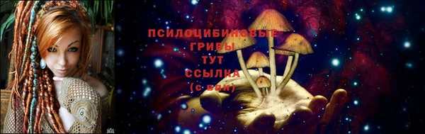 дурь Володарск