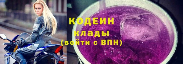 гидра Снежногорск