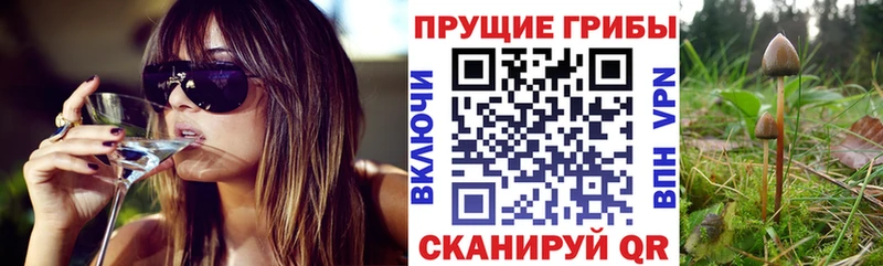 Галлюциногенные грибы ЛСД  сколько стоит  Иноземцево 